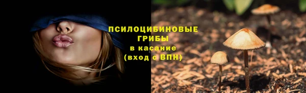 кокс Вяземский