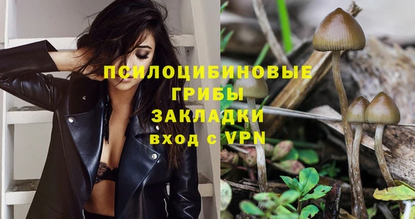 кокс Вяземский
