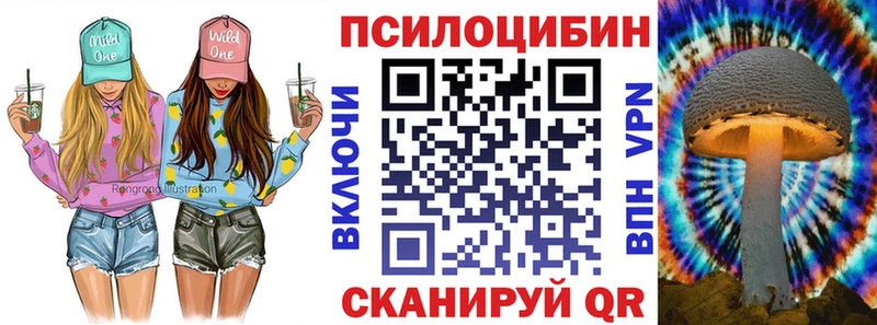 Купить где  Невьянск  Галлюциногенные грибы мицелий 