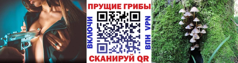 Галлюциногенные грибы GOLDEN TEACHER Невьянск